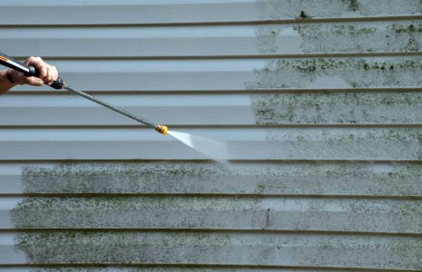 Best Mold Cleaning Services  in Bushyhead, OK