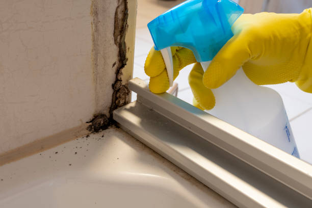 Bushyhead, OK Mold Removal Company