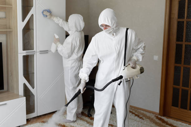 Best Mold Testing  in Bushyhead, OK