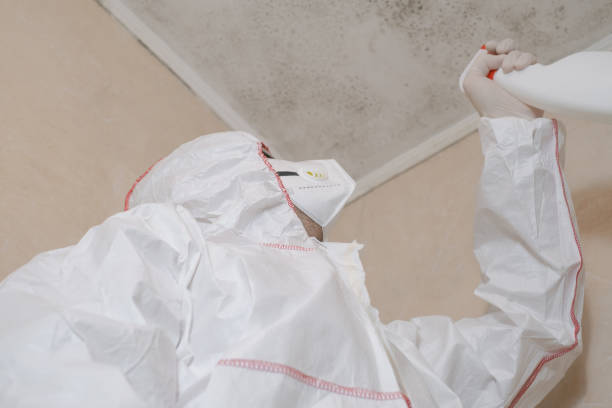 Best Toxic Mold Removal  in Bushyhead, OK