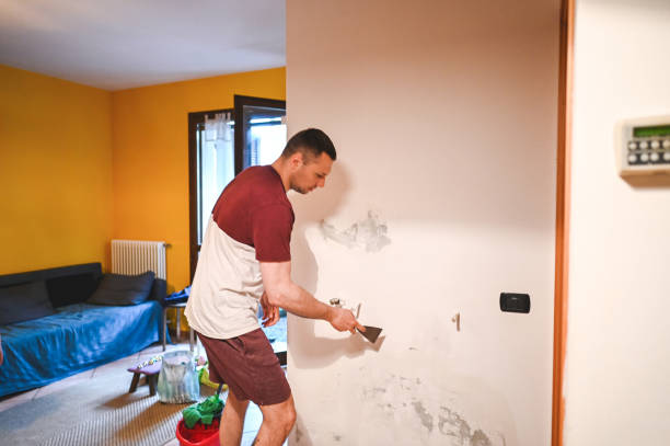 Best Affordable Mold Removal  in Bushyhead, OK